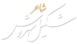Shakeel Sarosh